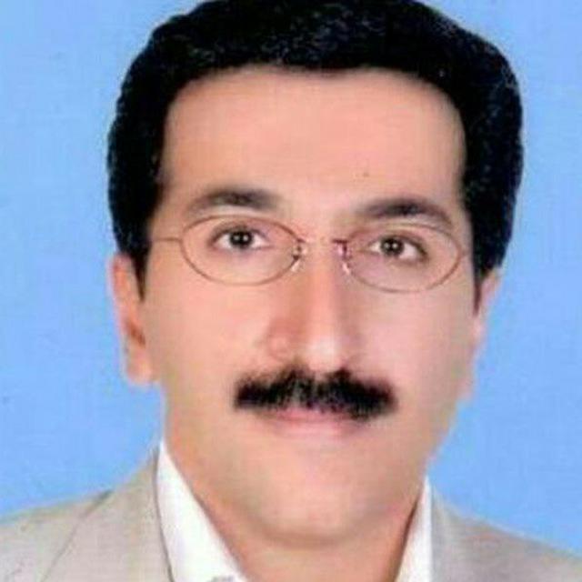 حمیدرضا بیرانوندی